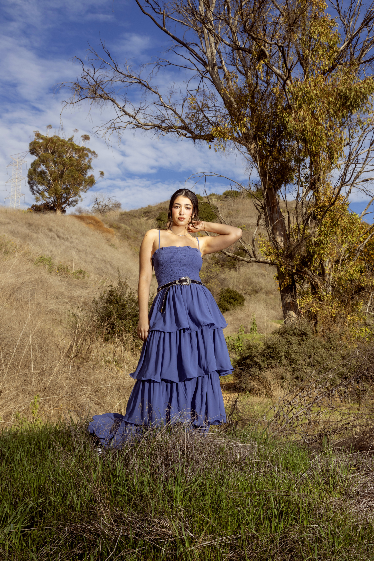 blue tiered ruffle maxi dress Inara Blue Ruffle Prom Dress - US 0